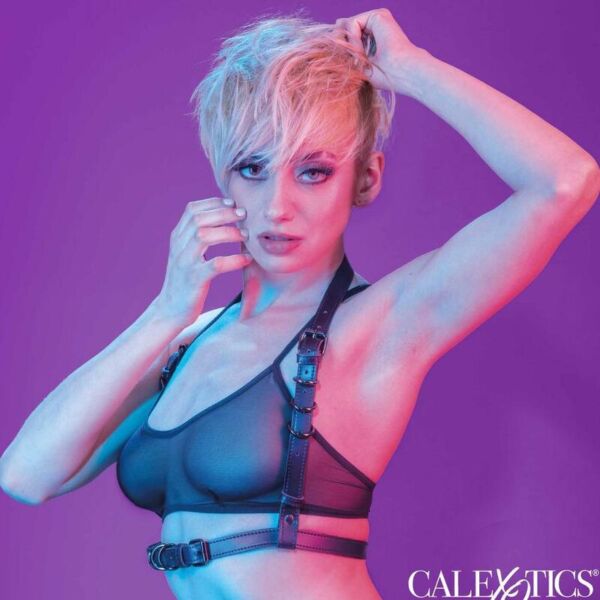 Postroj CalExotics Euphoria Halter so zapínaním na prackú