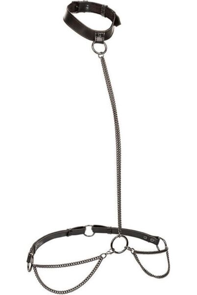 Retiazkový postroj Calexotics Euphoria Plus Size Halter, ktorý sa dá zmeniť na obojok s vodidlom