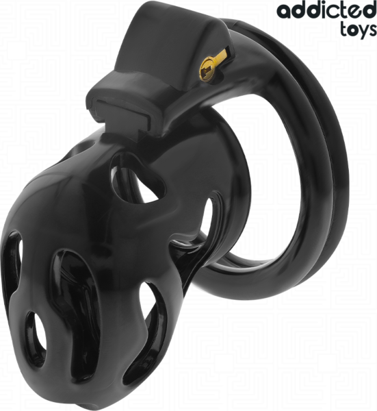 Klietka cudnosti Addicted Toys Locked 8 cm so štyrmi krúžkami a kľúčmi