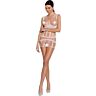 Bodystocking Passion Woman BS089 s čipkou a transparentným dizajnom