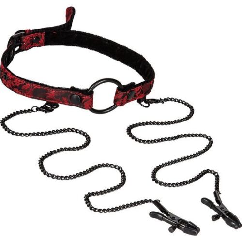 Mordaza Scandal s pinzami pre BDSM